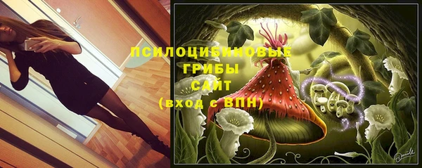 spice Белокуриха