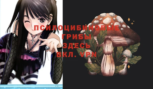 ешки Беломорск